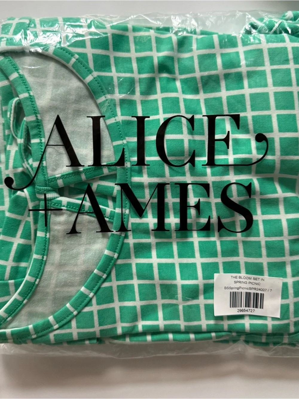 Alice and Ames Girl The Bloom Set in Spring Picnic 4T 5T 6 years 7 years NWOT